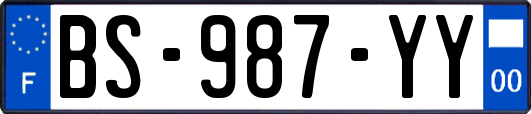 BS-987-YY