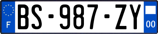 BS-987-ZY