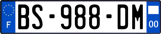 BS-988-DM