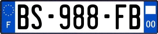 BS-988-FB