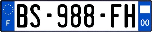 BS-988-FH