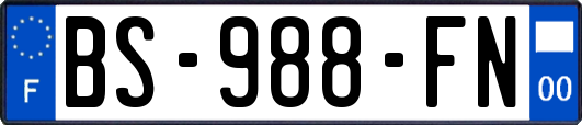 BS-988-FN