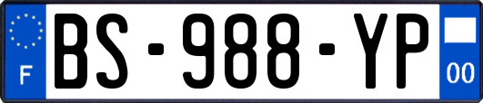 BS-988-YP