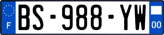 BS-988-YW