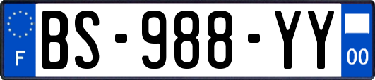 BS-988-YY