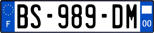 BS-989-DM