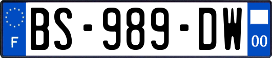 BS-989-DW