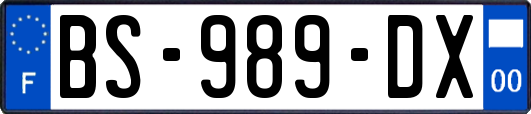 BS-989-DX