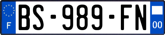 BS-989-FN