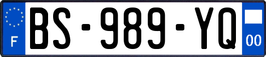 BS-989-YQ