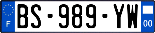 BS-989-YW