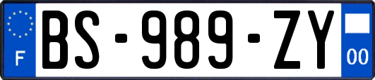 BS-989-ZY