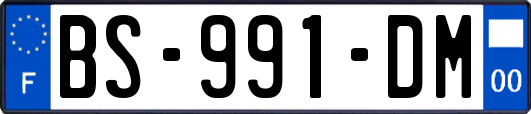 BS-991-DM