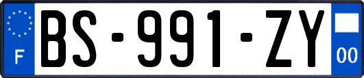 BS-991-ZY