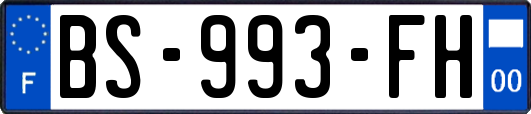 BS-993-FH