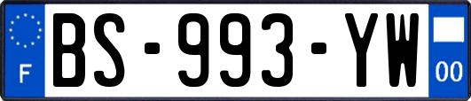 BS-993-YW