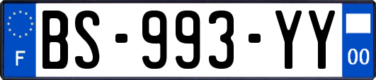 BS-993-YY