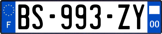 BS-993-ZY