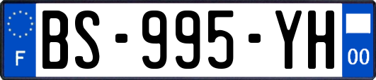 BS-995-YH