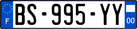 BS-995-YY