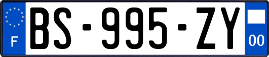 BS-995-ZY