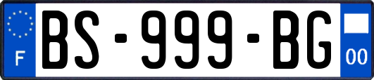 BS-999-BG