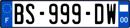 BS-999-DW