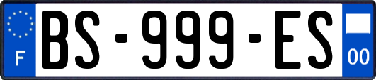 BS-999-ES