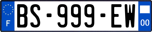 BS-999-EW