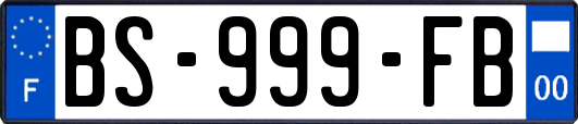 BS-999-FB