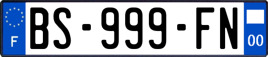 BS-999-FN