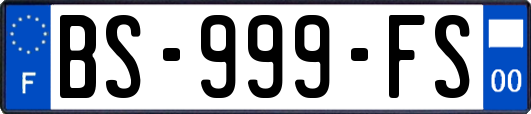 BS-999-FS