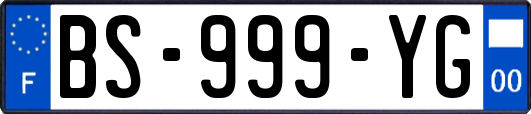 BS-999-YG