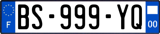 BS-999-YQ