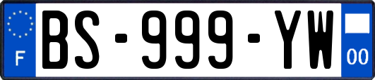 BS-999-YW