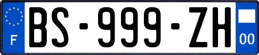 BS-999-ZH
