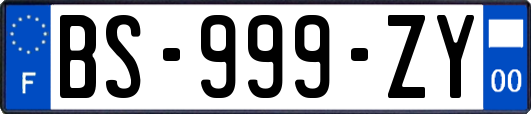 BS-999-ZY