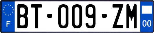 BT-009-ZM