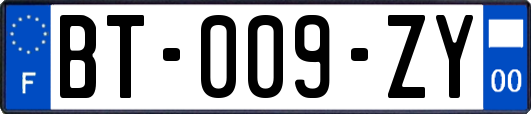 BT-009-ZY