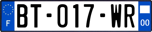 BT-017-WR