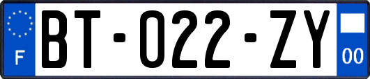 BT-022-ZY