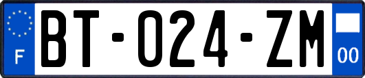 BT-024-ZM