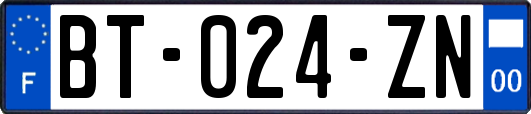 BT-024-ZN