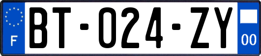 BT-024-ZY