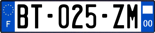 BT-025-ZM