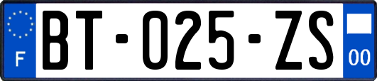 BT-025-ZS