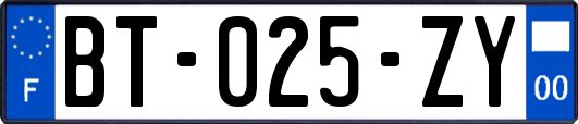 BT-025-ZY