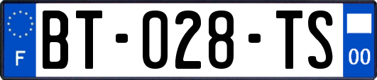 BT-028-TS