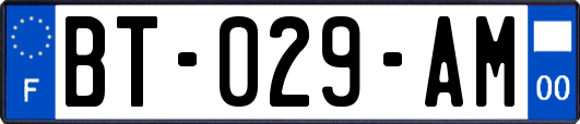 BT-029-AM