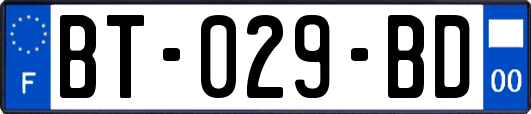 BT-029-BD